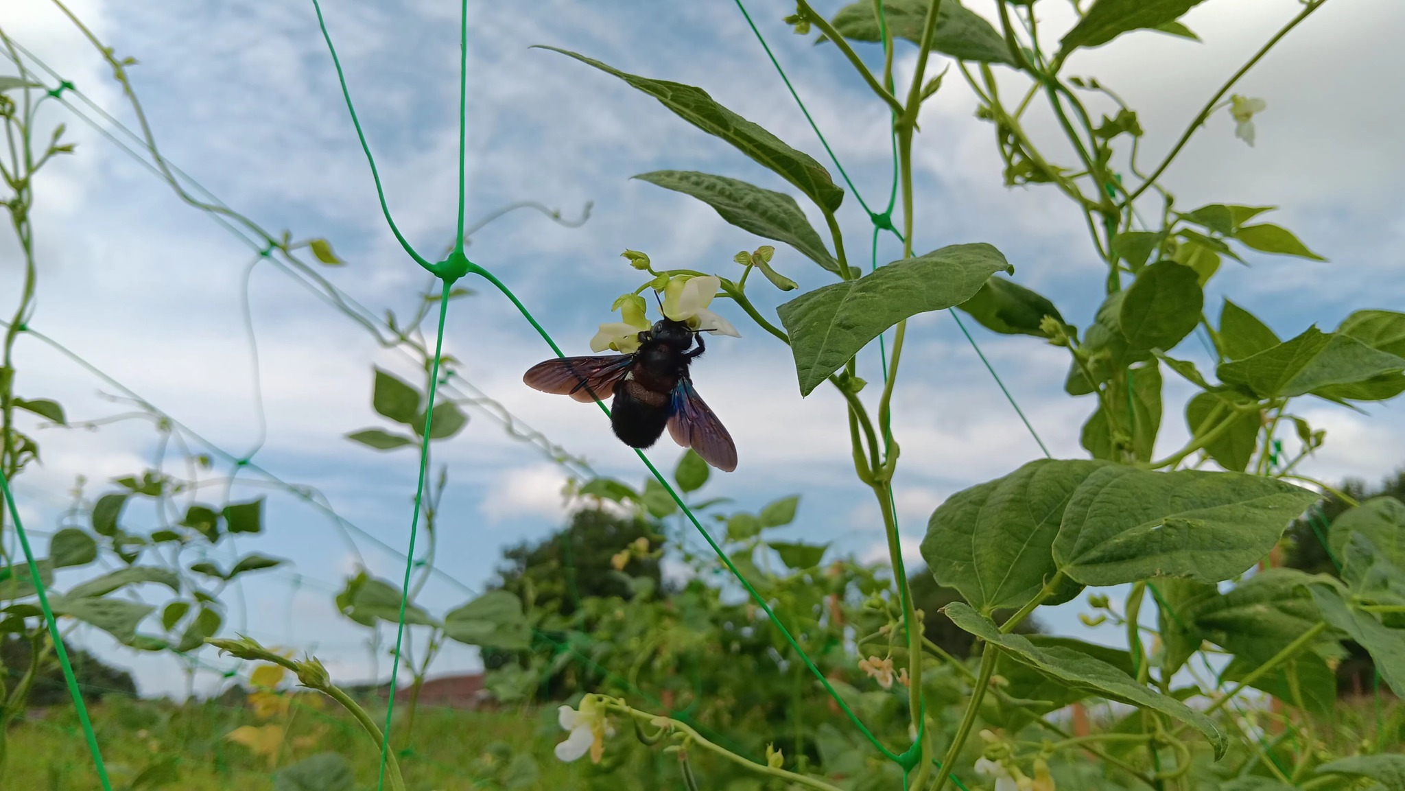 Feature School Portugal